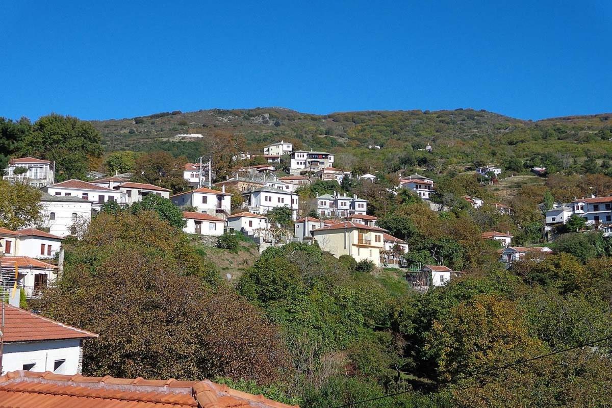 Klio Guesthouse Portaria  Exterior photo